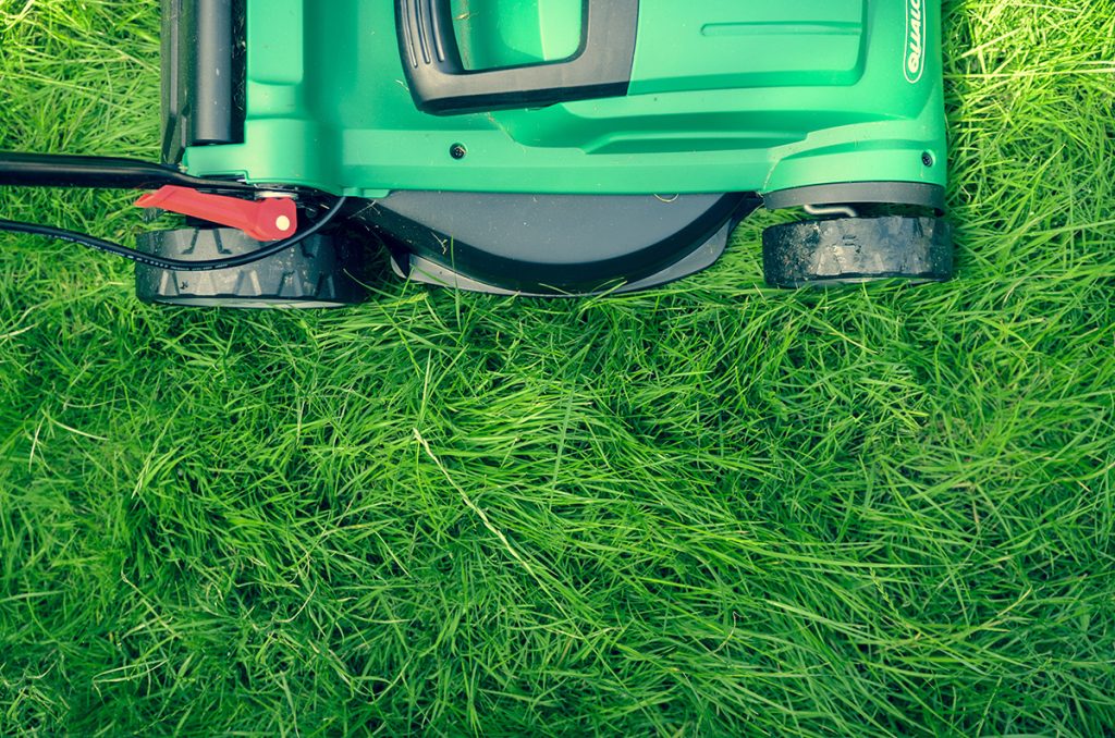 Want the Best Looking Lawn On Your Block? Make Sure You Water it Properly. Here’s How.