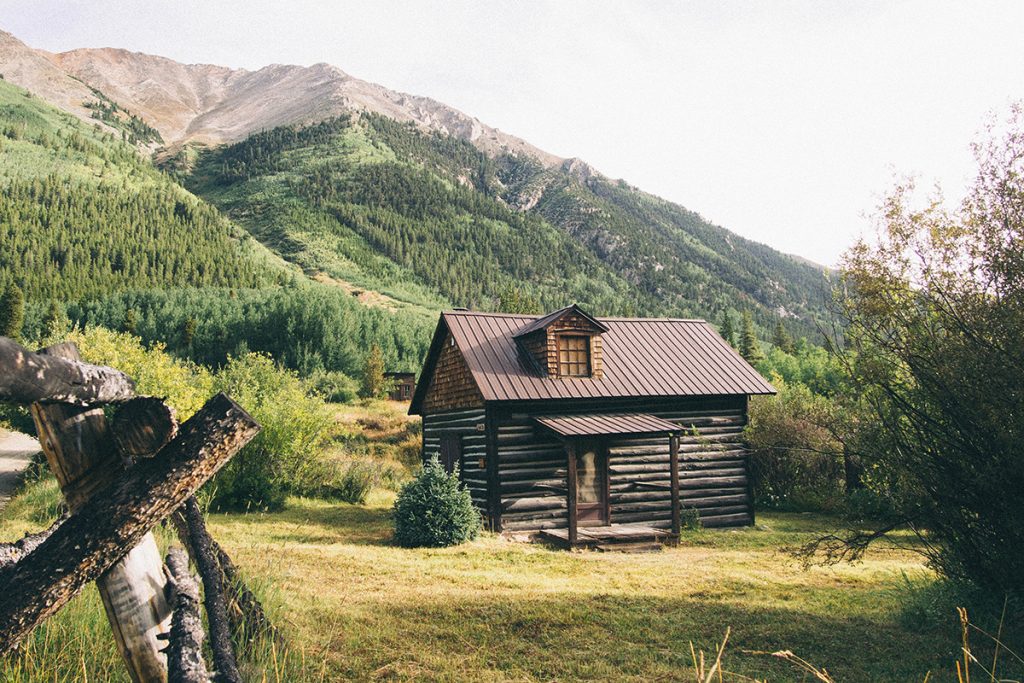 7 Important Tips On How To Bear Proof Your Home