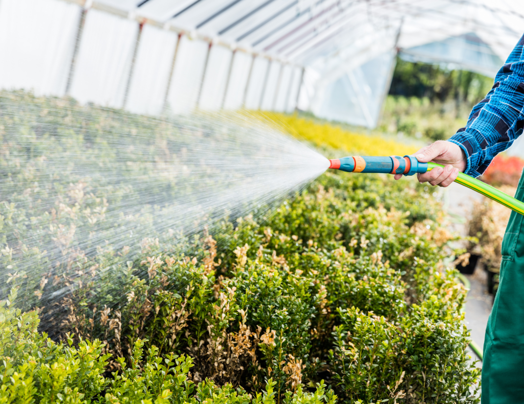 How To Minimize Water Use During This Drought Season