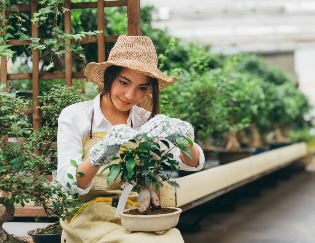 March Is The Best Time To Start Planting Your Seeds