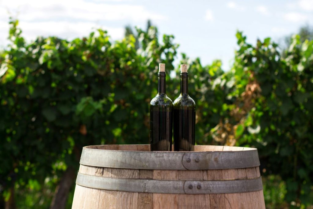 Important Tips on How To Store Wine